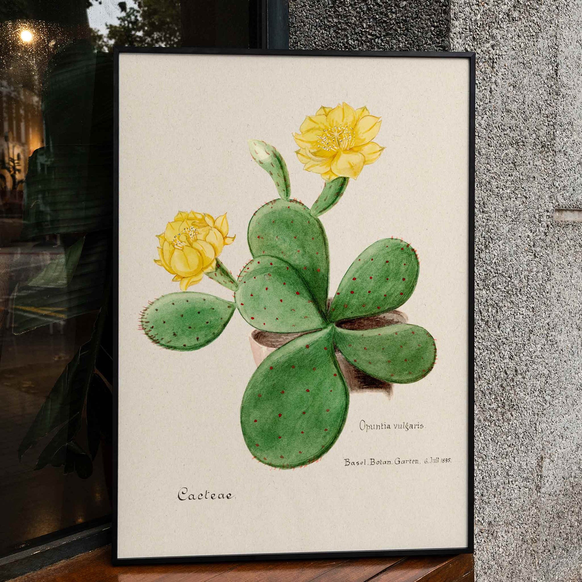 prickly pear cactus wall art Poster | Prickly Pear Cactus Blossoms Art
