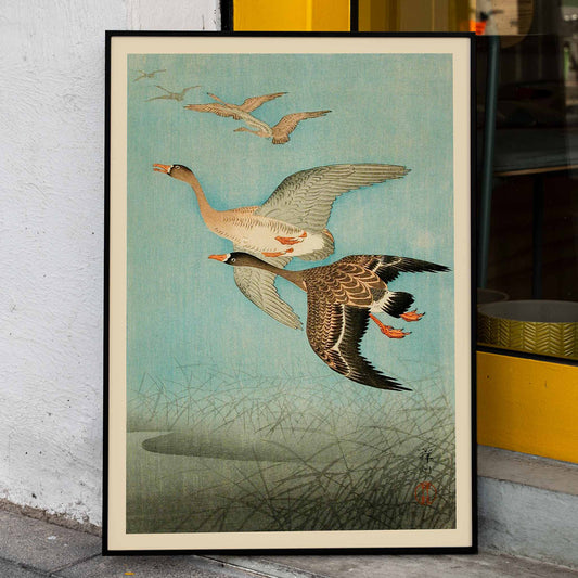 Flying Geese by Ohara Koson Japanese woodblock print poster with two geese flying over water and reeds artwork wall art print, framed and displayed in home decor