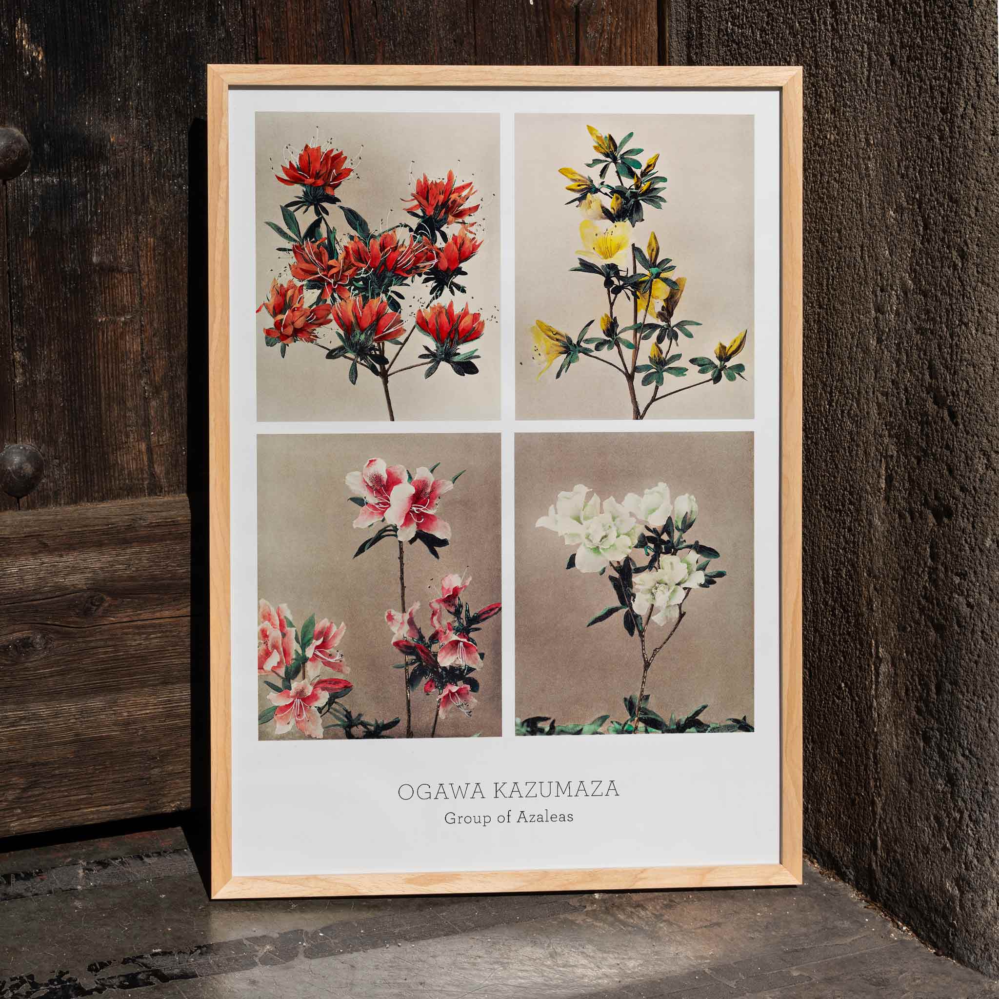 Poster | Azaleas Artwork by Kazumasa Ogawa | MORYARTY