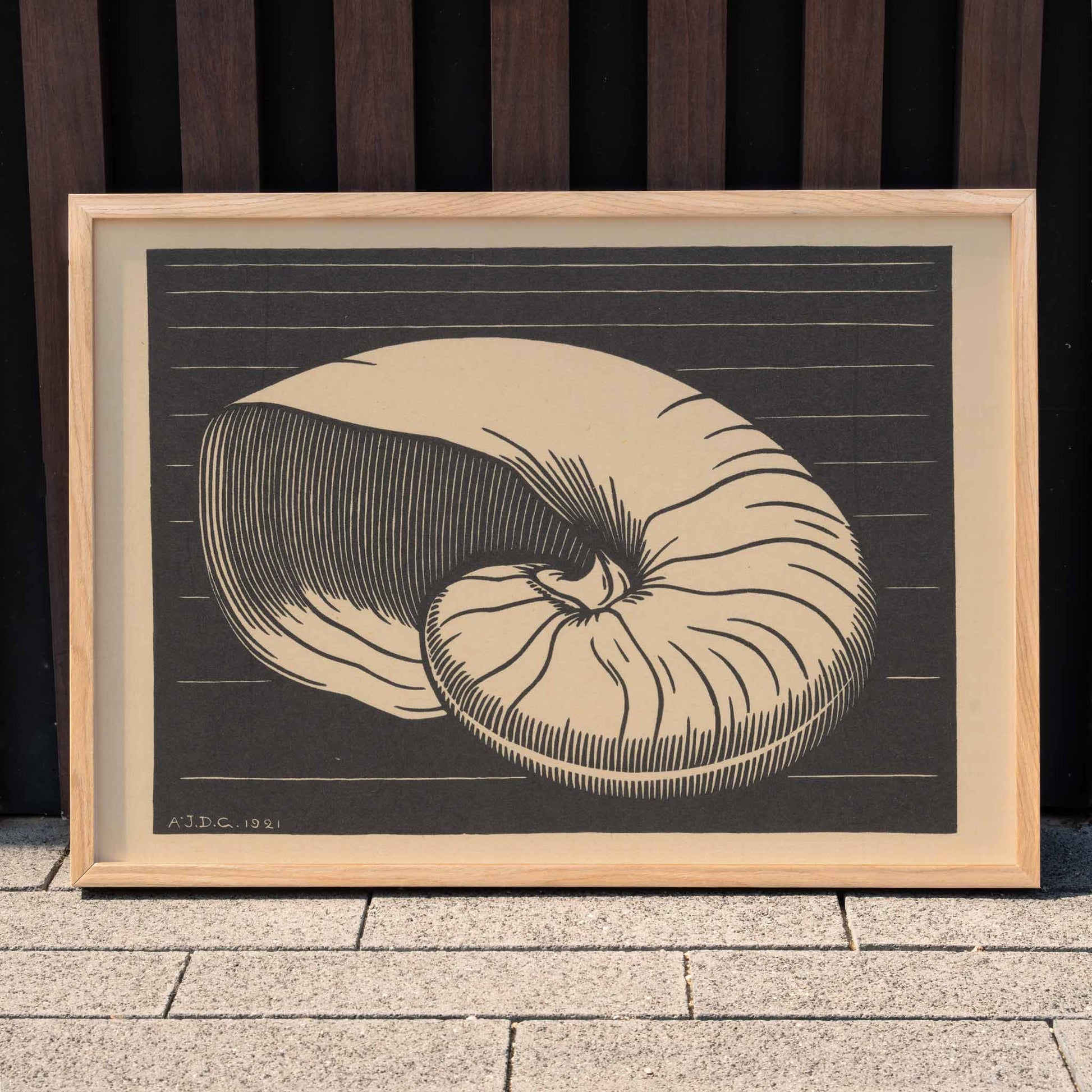 Black and white and beige shell illustration by Julie de Graag linocut artwork poster perfect for art and nature lovers, framed and displayed in home decor