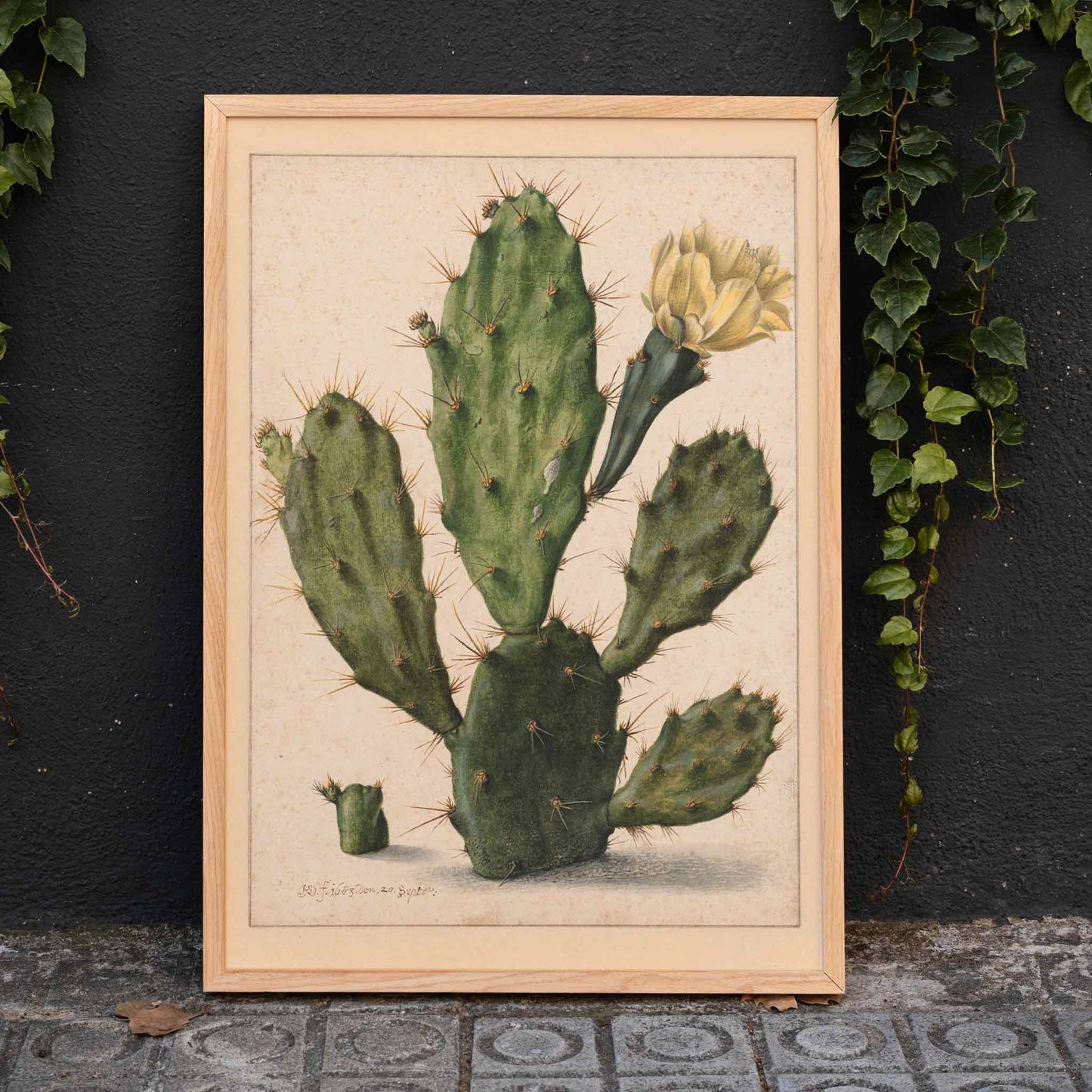 Pear Cactus in Bloom by Herman Saftleven botanical illustration and poster featuring a green cactus with a yellow flower on a neutral background, framed and displayed in home decor
