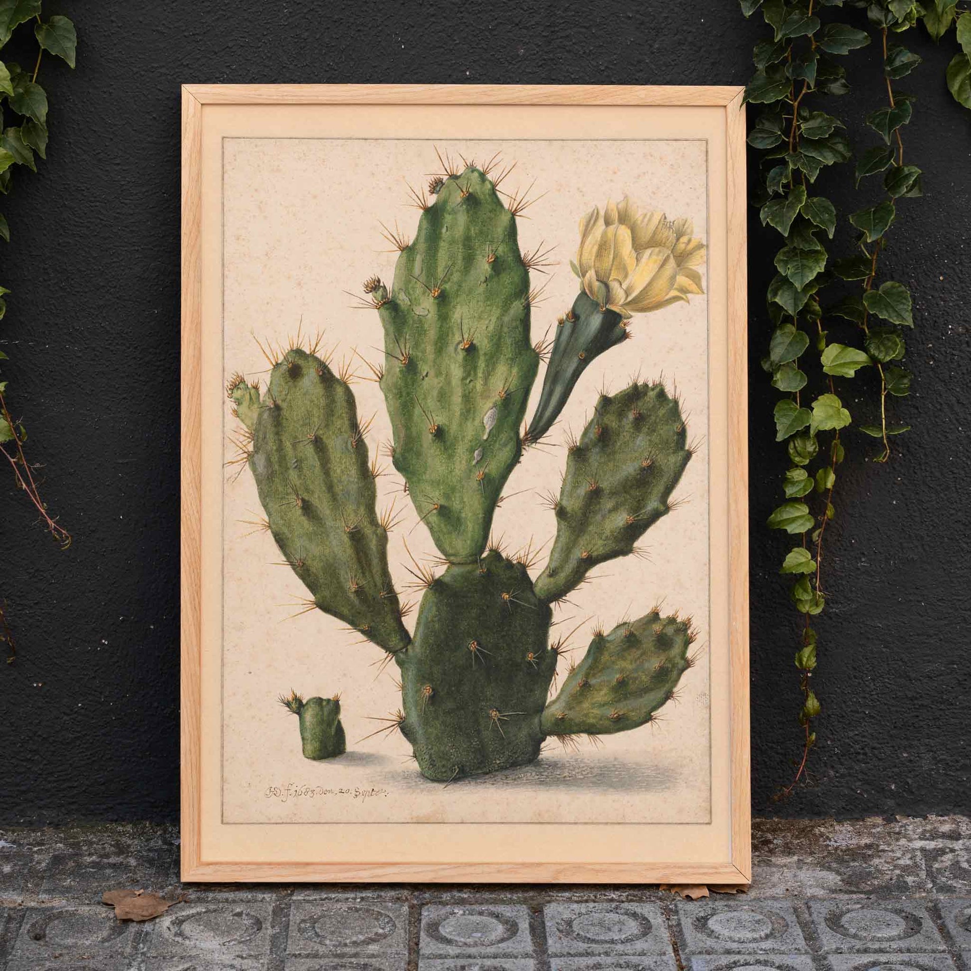 Pear Cactus in Bloom by Herman Saftleven botanical illustration and poster featuring a green cactus with a yellow flower on a neutral background, framed and displayed in home decor