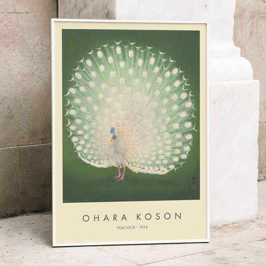 Elegant white peacock with full plumage on green background artwork by Ohara Koson poster, framed and displayed in home decor