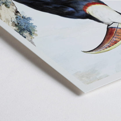 Closeup detail of Red-billed Toucan perched on a branch in a landscape painting by Aert Schouman poster artwork