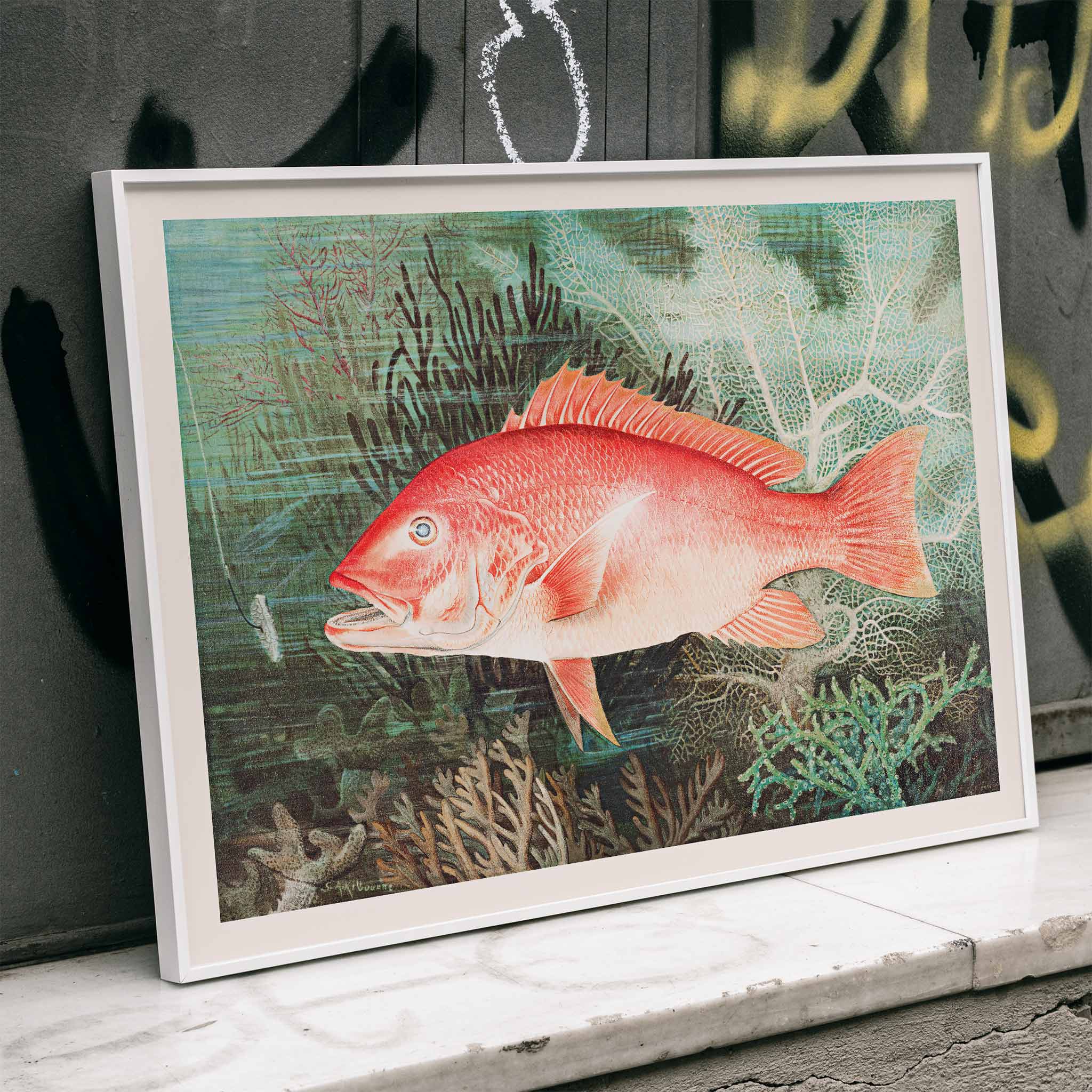 Poster | Northern Red Snapper chromolithograph Samuel Kilbourne