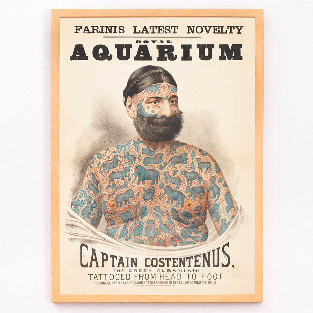 Closeup detail of Tattooed man Captain Costentenus the Greek Albanian at The Royal Aquarium vintage poster artwork