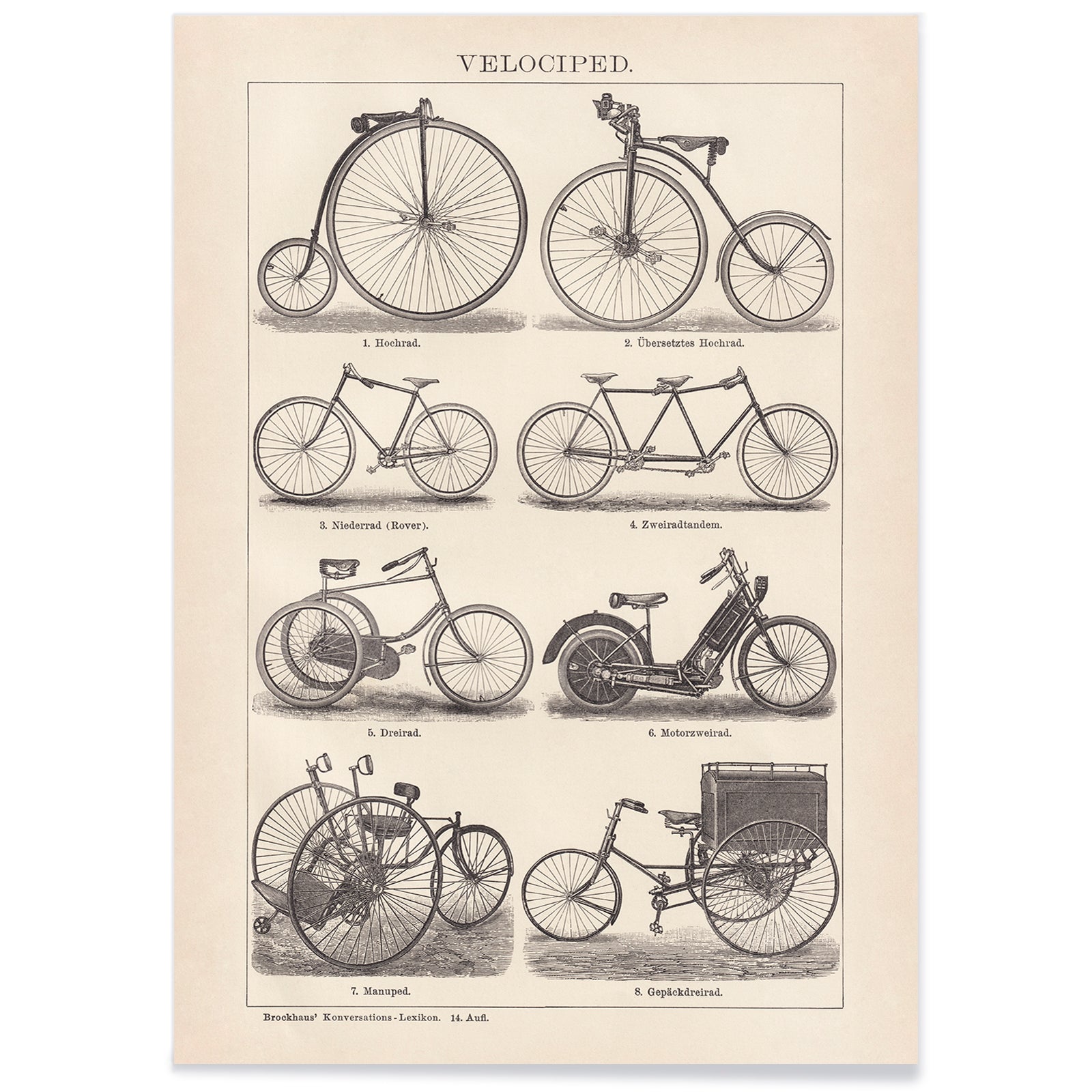 Vintage bicycle types and illustrations by Bibliographic institute of Liepzig Velociped with labeled bike types, with black aluminium frame on white background