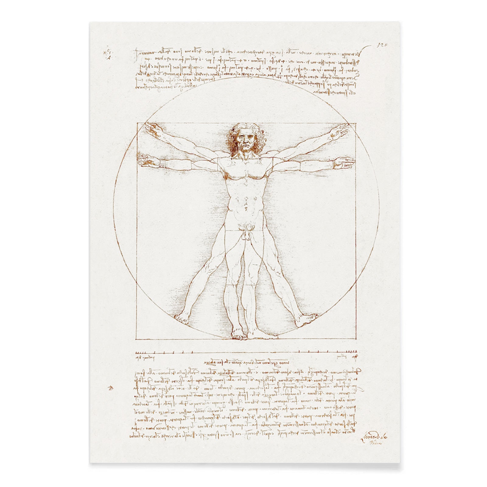 Vitruvian Man by Leonardo da Vinci human figure anatomical study with outstretched arms and legs inside circle and square geometric shapes artwork poster, with black aluminium frame on white background