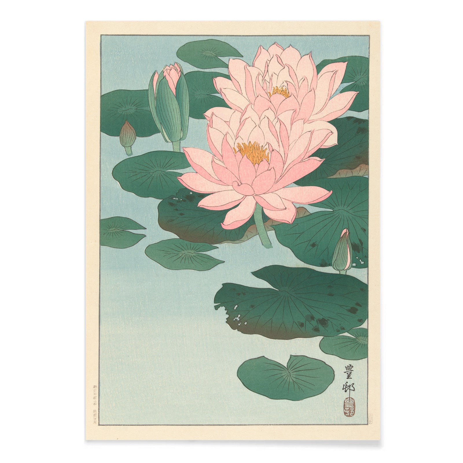 Poster | Flowering Water Lily by Ohara Koson | MORYARTY