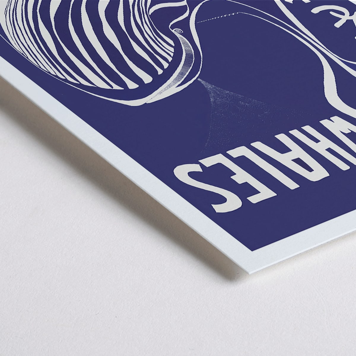Poster | Save the whales by Lawrence Vint Project Jonah 1973