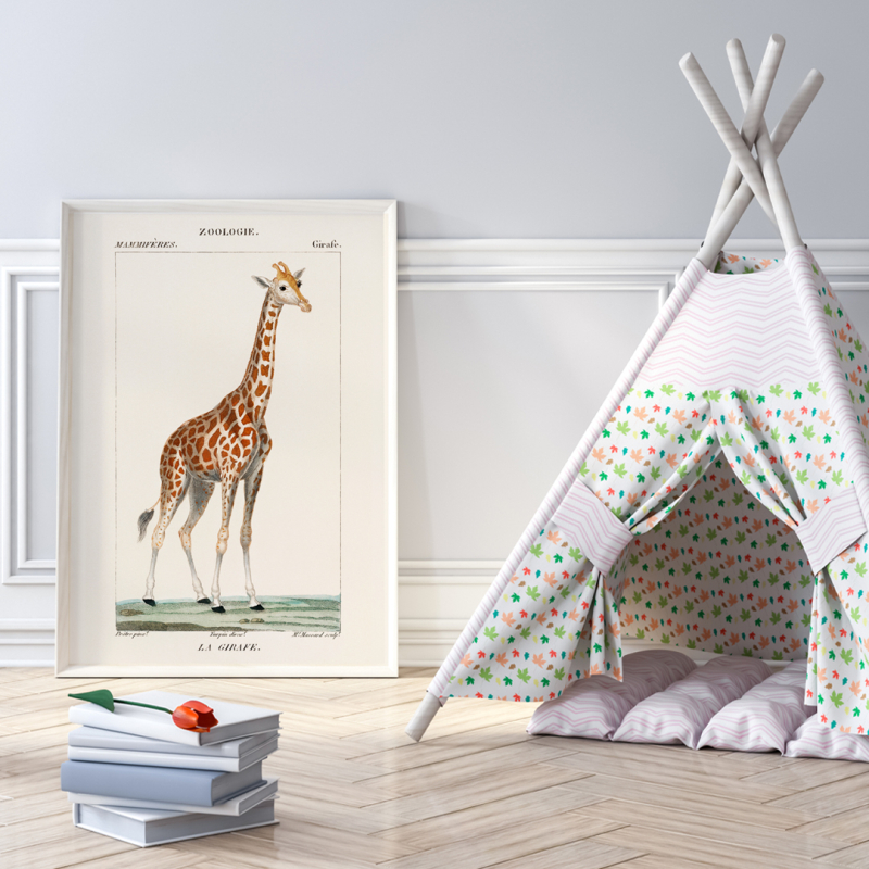 A giraffe A giraffe