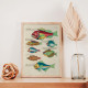 Colourful and surreal illustrations of fishes 4