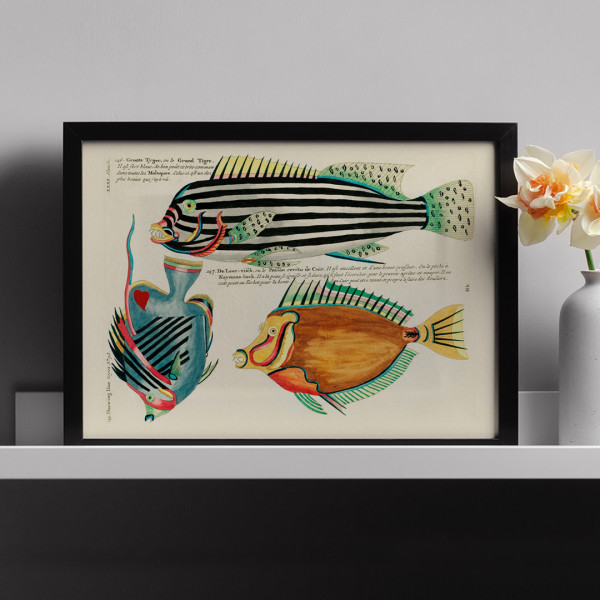 Colourful and surreal illustrations of fishes 7