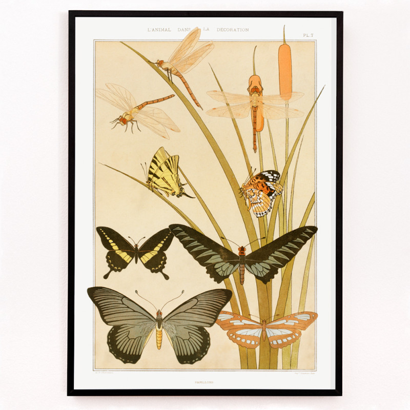 Butterflies and Reeds